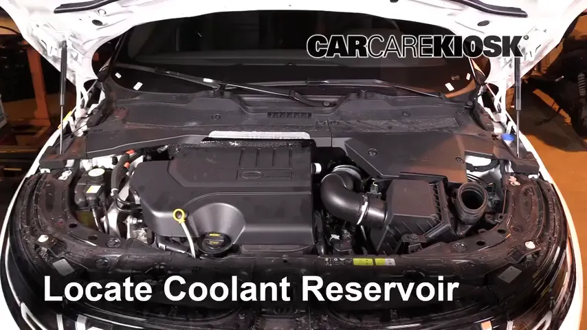 How to Add Coolant: 2020 Land Rover Range Rover Evoque SE 2.0L 4 Cyl. Turbo